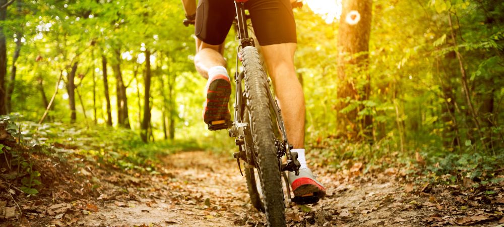 Best Biking Trails and Routes Around the World